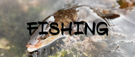 ＦＩＳＨＩＮＧ