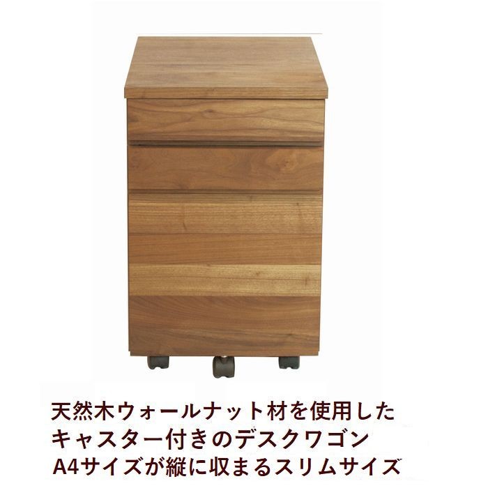 sugi1000069_1.jpg sugi1000069_1.jpg