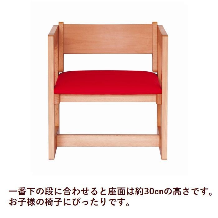 sugi1000135_1.jpg