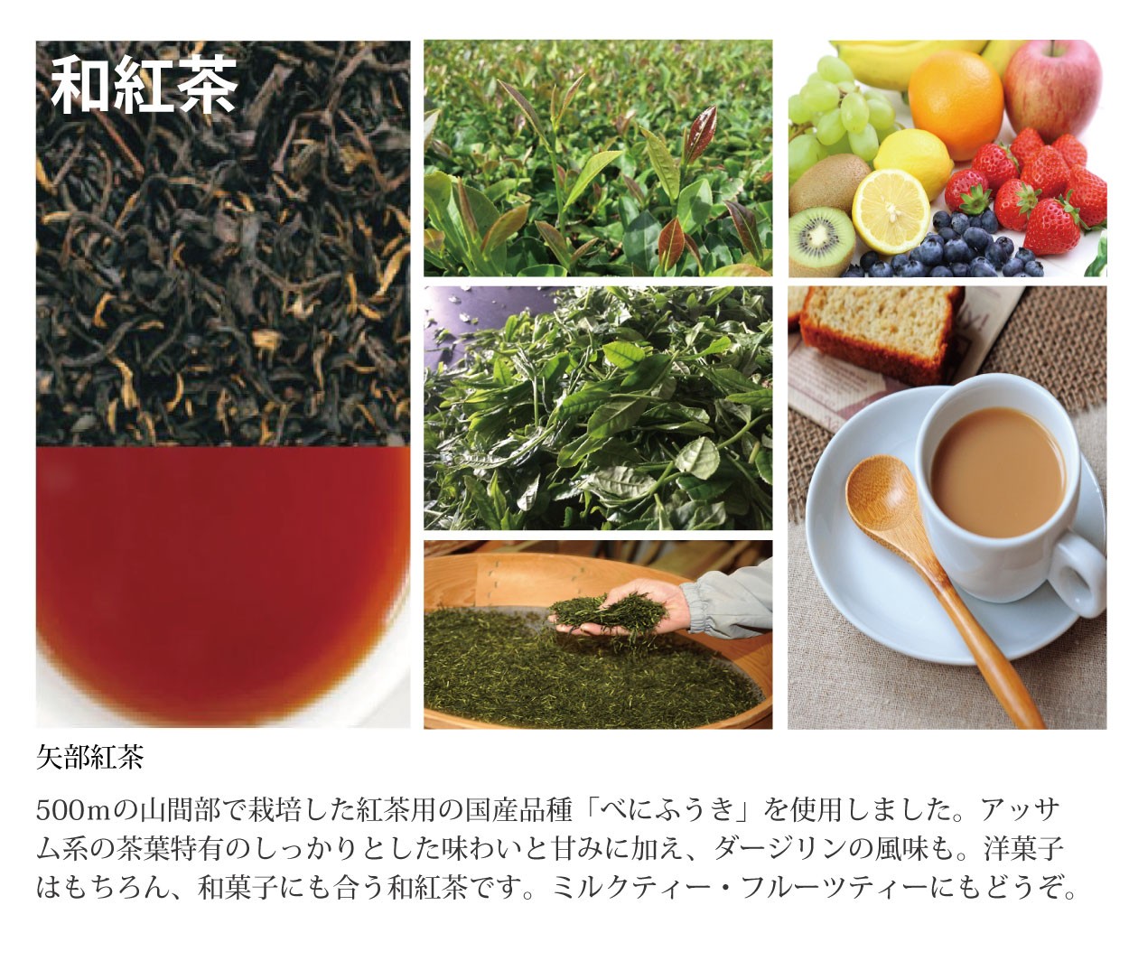 国産紅茶農林水産大臣賞受賞を3回受賞したお茶の千代乃園 雪ふる山のおそぶき茶 矢部紅茶 :tiy0010004:ぐっはび生活Yahoo!ショッピング店  - 通販 - Yahoo!ショッピング