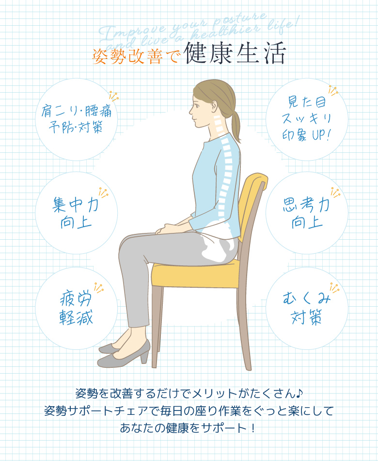 腰・姿勢サポートチェア