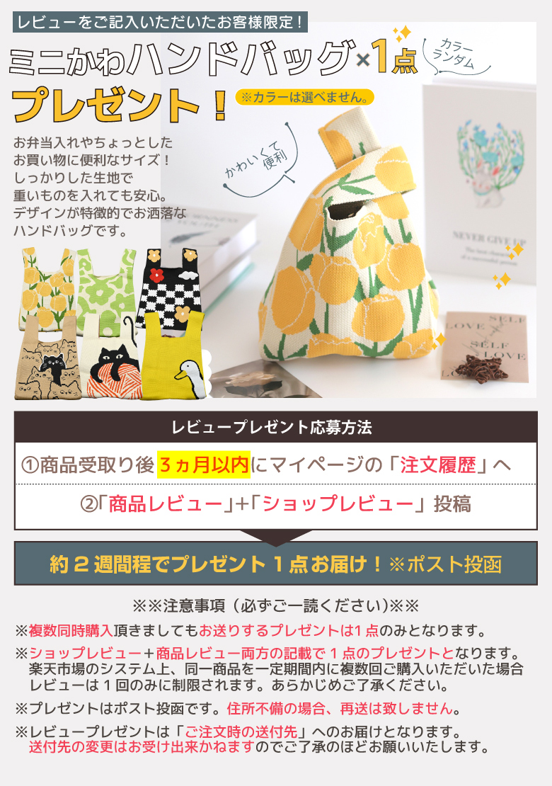レビュープレゼント