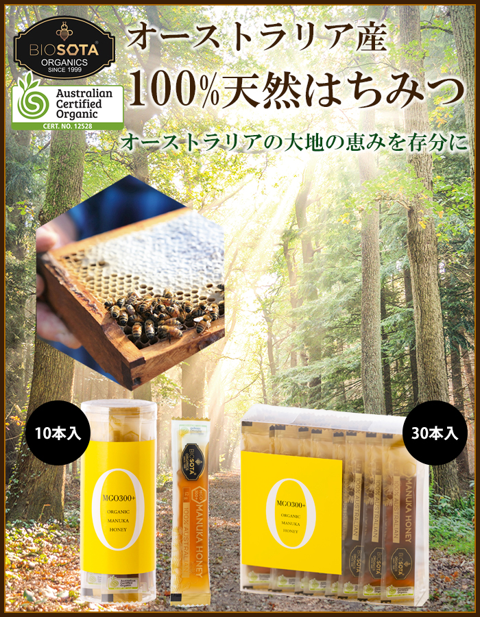 Nadia Jacobs 一点物　30センチ　ハニー まいねこ 」 | すっかり在庫が品薄となっておりましたハニーベア