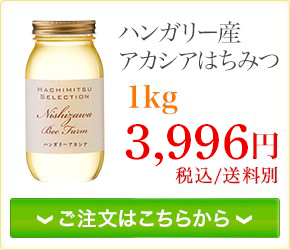 はちみつ 蜂蜜 ハチミツ ハンガリー産アカシアはちみつ2.5kgポリ容器