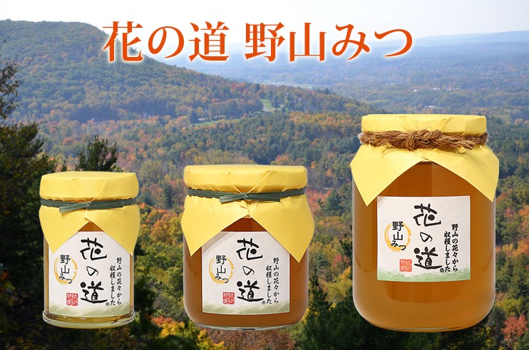 送料込み】国産野山みつ750g | 九州蜂の子本舗