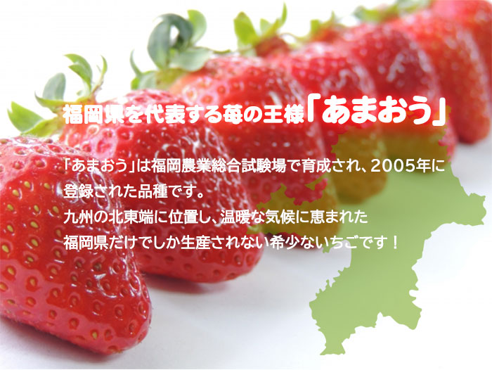 いちご あまおう グランデ Ｇ 300ｇ×2パック 福岡県産 苺 イチゴ