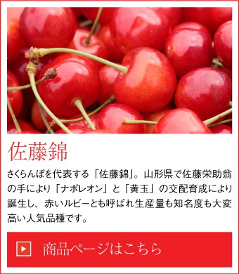 はちやフルーツ - さくらんぼ｜Yahoo!ショッピング