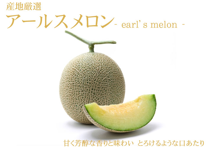 今時珍しいアールスメロン　6玉 国産 アールスメロン（1玉）｜Seika（せいか）国産フルーツ