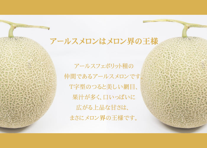 メロン アールスメロン 1.4kg×2玉 産地厳選 ギフト : はちや