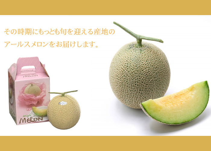メロン アールスメロン 1.4kg×2玉 産地厳選 ギフト : はちや