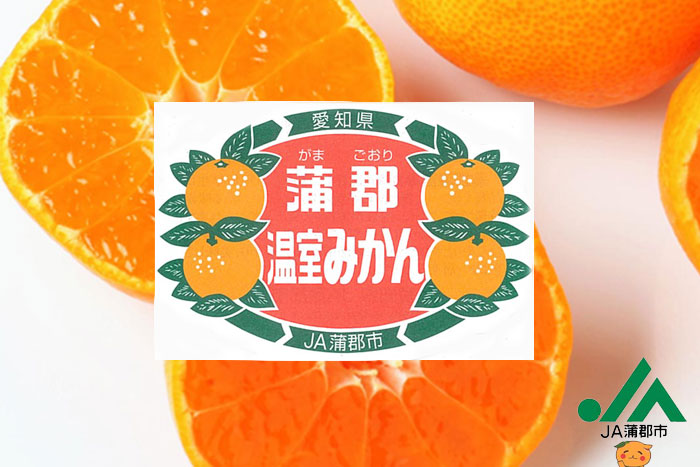 みかん 蒲郡ハウスみかん 秀品 1kg 12〜15玉 愛知県産 蜜柑 ミカン