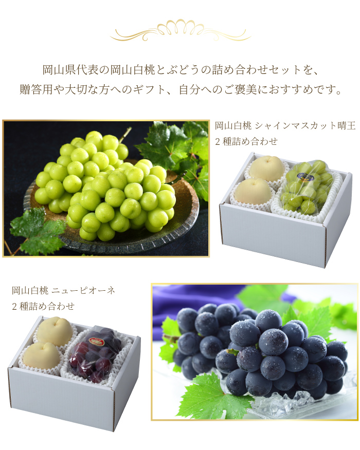 ぶどう６種セット×２ 果物セット シャインマスカット入り6種のフルーツセット 6種1箱