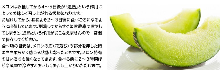 光センサー透過♡安心の糖度保証付き♡肥後グリーン♡６玉♡約10kg♡ ポケット非破壊糖度計 PAL-光センサー32（大玉すいか） 【11218