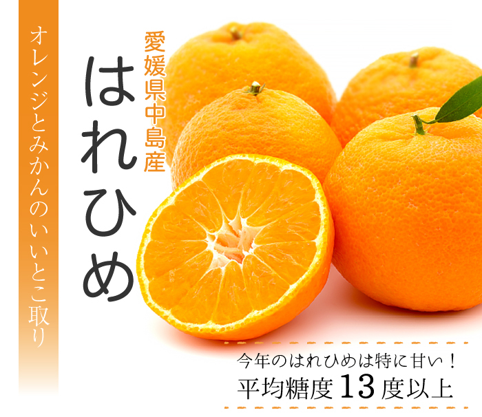 お歳暮 みかん はれひめ 訳あり 大きさおまかせ 5kg 愛媛県産 JAえひめ中央 中島選果場 ミカン 蜜柑 :hhm004:はちやフルーツ - 通販  - Yahoo!ショッピング