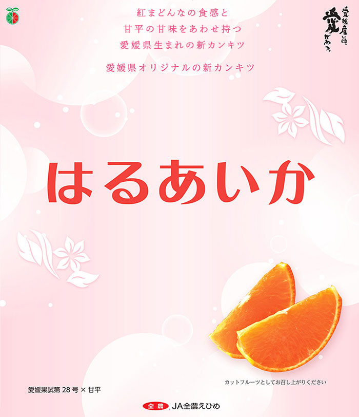 みかん様専用ページ - メルカリ
