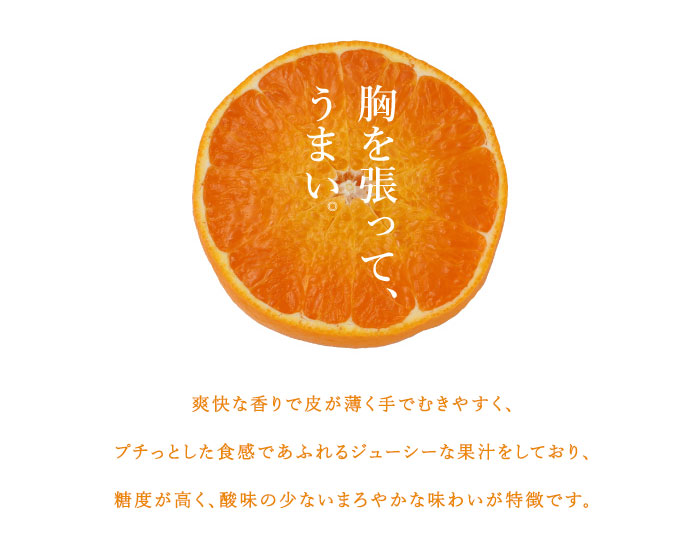 みかん ひぜんユース 風のいたずら ちょっと訳あり 大きさ