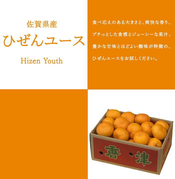 みかん ひぜんユース 風のいたずら ちょっと訳あり 大きさ