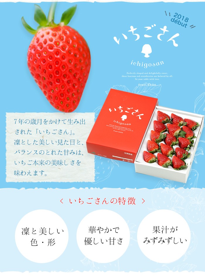 いちごさん AA等級 4〜11粒 240g×2パック 佐賀県産 JA佐賀 白石地区 苺 イチゴ ギフト お取り寄せ