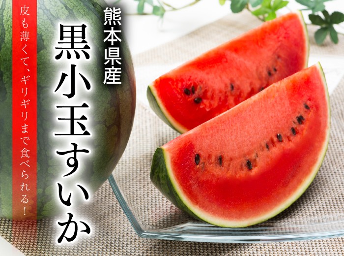 スイカページ 熊本県より産地直送 JA熊本市 黒小玉スイカ(ひとりじめBONBON