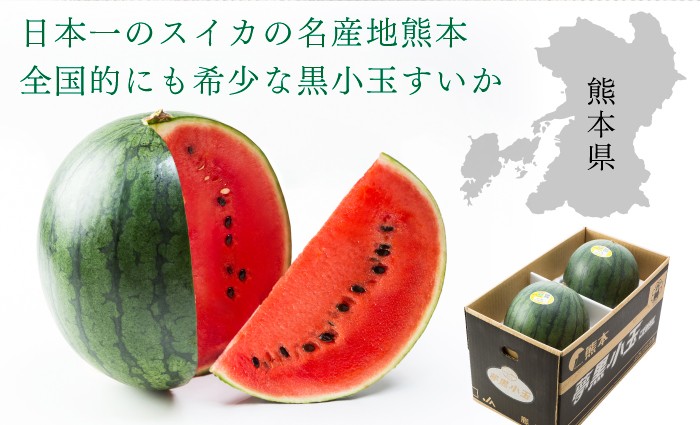 すいか トマト・メロン・スイカ｜天の童｜JAてんどうフーズ通信販売