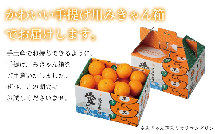 みかん 完熟春みかん カラマンダリン 青秀 2L〜S 2.5kg みきゃん