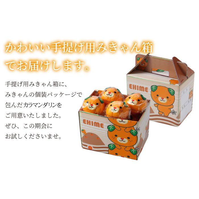 みかん 完熟春みかん カラマンダリン みきゃんパッケージ 赤秀 2L〜S