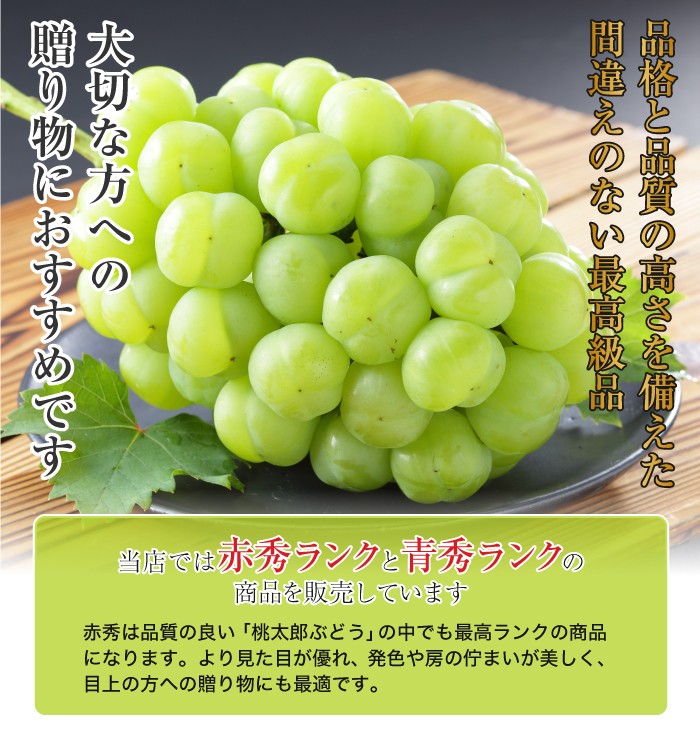 ぶどう 桃太郎ぶどう 摘み落とし 青秀 200g×6パック 岡山県産 香川県産 葡萄 ブドウ ギフト お取り寄せ