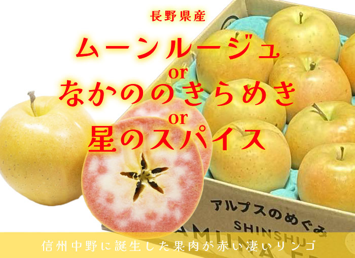 りんご 星のスパイス or ムーンルージュ なかののきらめき 秀品 10〜23