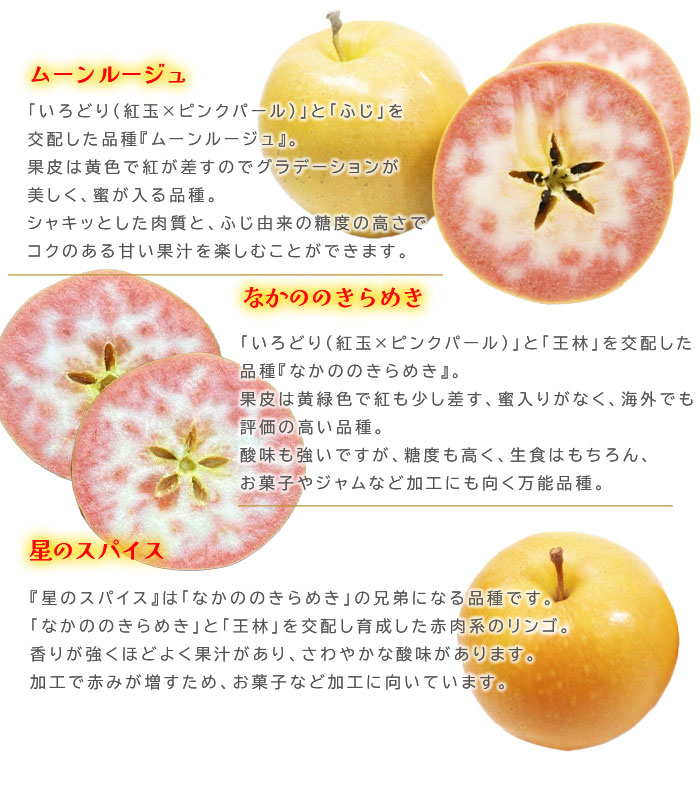 りんご 星のスパイス or ムーンルージュ なかののきらめき 秀品 10〜23