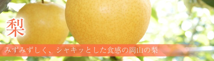 タイトル画像