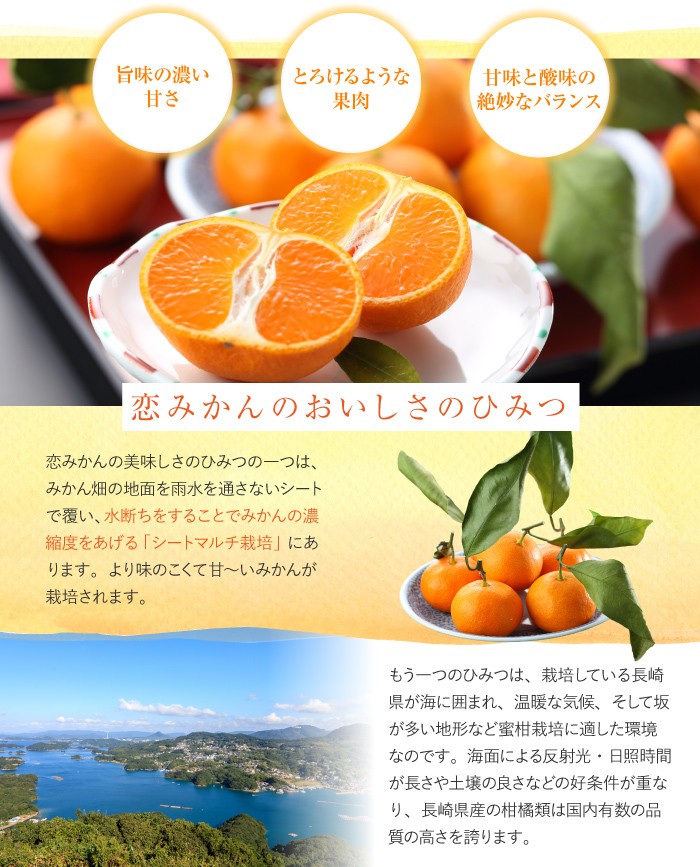 はちやフルーツ 恋みかん みかん 柑橘類 Yahoo ショッピング