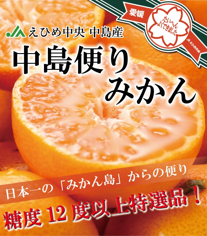 みかん 中島便りみかん 青秀 L〜Sサイズ 3kg 糖度12度以上 愛媛県 中島産 JAえひめ中央 中島選果場 蜜柑 ミカン ギフト お歳暮  :ntm011:はちやフルーツ - 通販 - Yahoo!ショッピング