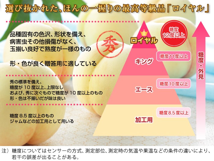 桃 黄金桃 エース 4〜6玉 1kg 岡山県産 JAおかやま もも モモ : はちや