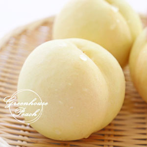 白桃 岡山冬桃がたり ロイヤル 4〜10玉 1kg 岡山県産 JA吉備路 桃 もも