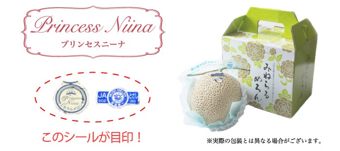 ニ*ン様 ご家庭用メロン　高知県産　アールスメロン　 7玉入り　約7㎏（下箱込み お中元 メロン プリンセスニーナ 秀品 1.2Kg×2玉 アールスメロン 高知