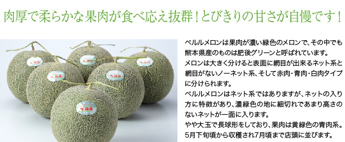 メロン ペルルメロン 岡山県産 ｊａおかやま ５ｌサイズ 2玉 約5kg 送料無料 ギフト お中元 夏ギフト Prr001 はちやフルーツ 通販 Yahoo ショッピング