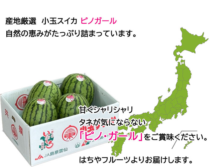 お中元 すいか ピノガール 風のいたずら ちょっと訳あり 産地厳選 3〜8