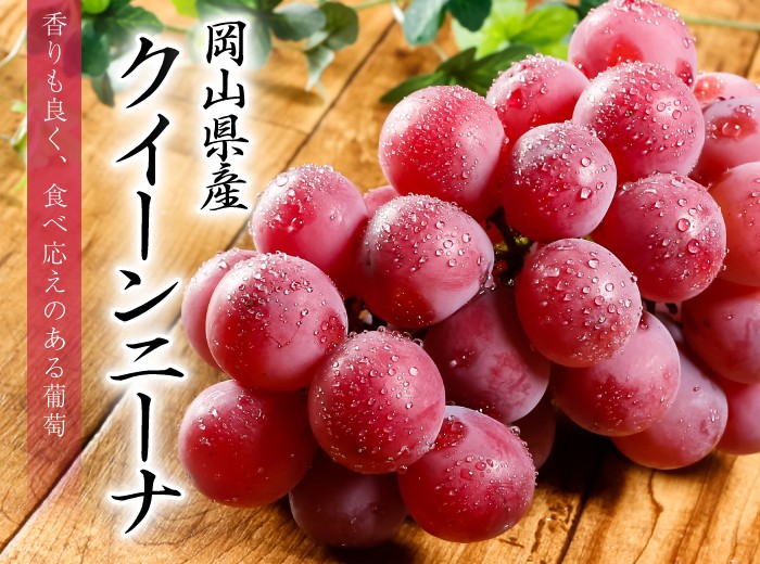 ぶどう クイーンニーナ 赤秀 600g×1房 岡山県産 ＪＡおかやま 葡萄 ブドウ :qn01:はちやフルーツ 通販 