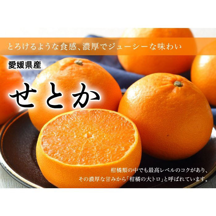 みかん せとか ◯等級 4L〜Lサイズ 5kg 愛媛県産 ＪＡえひめ中央 中島 