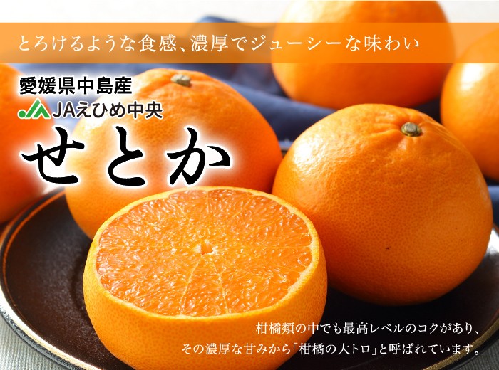 みかん せとか 赤秀 2L〜Lサイズ 5kg 愛媛県産 ＪＡえひめ中央 中島選