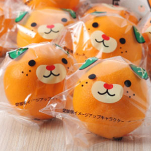 みかん せとか みきゃんパッケージ 青秀 2L〜Mサイズ 6〜10玉