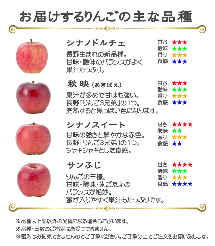 りんごページ りんご 信州高山さわやかりんご 秀品 10〜23玉 5kg 長野県産 林檎