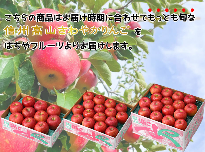 りんご 信州高山さわやかりんご 秀品 10〜23玉 5kg 長野県産 林檎