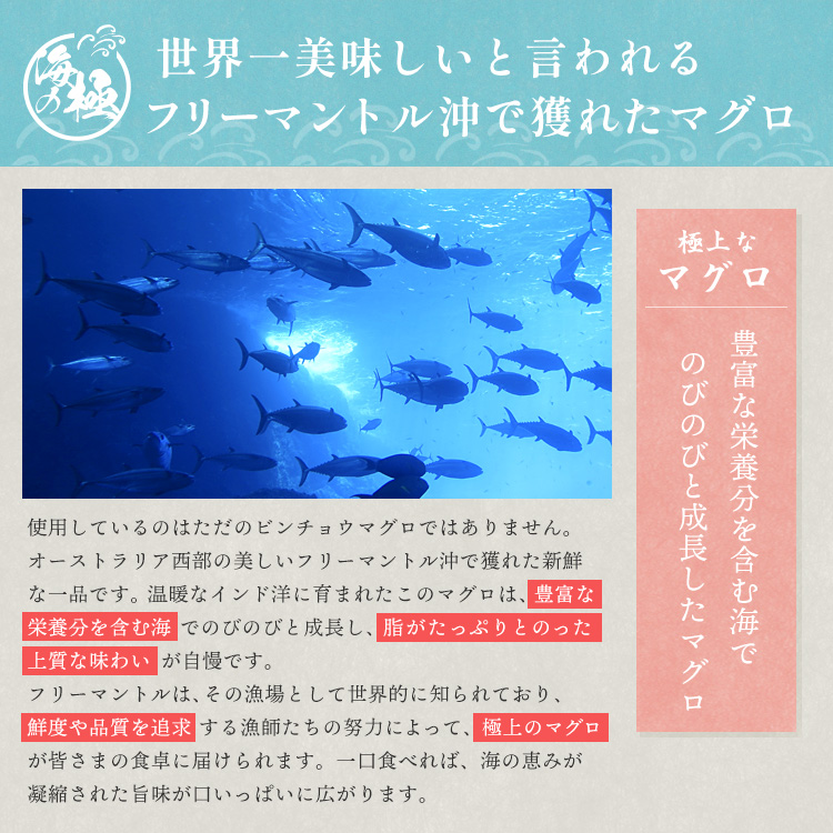 焼津天然まぐろ藁焼きビンチョウマグロ冷凍