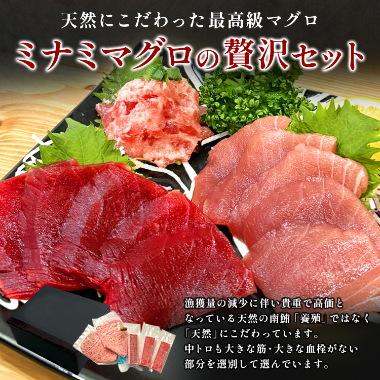 焼津 海の極 絶品 天然南鮪入り3品セット 総合計1.2kg