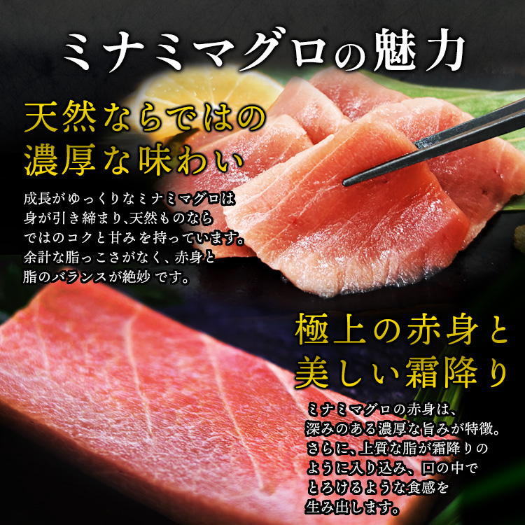 焼津 海の極 絶品 天然南鮪入り3品セット 総合計1.2kg