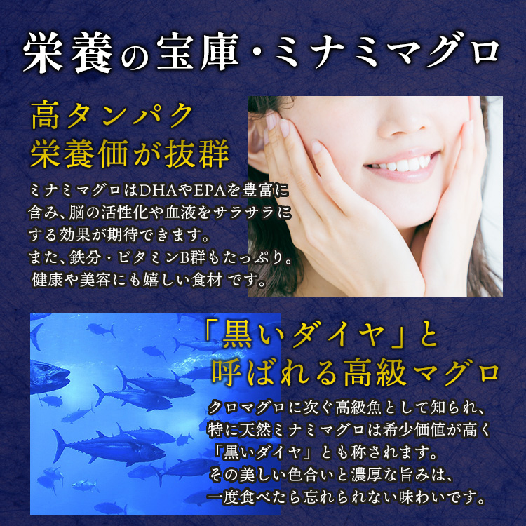 焼津 海の極 絶品 天然南鮪入り3品セット 総合計1.2kg