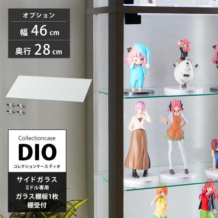 地球家具 コレクションラック DIO ディオ ミドル側面ガラスタイプ専用 