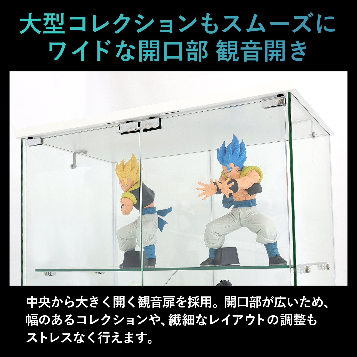 地球家具 ガラスコレクションケース ルミグス LUMIGS 幅60cm ミドル 高