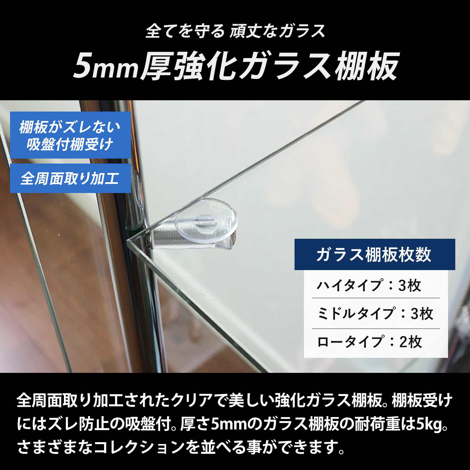 地球家具 ガラスコレクションケース MISTA ミスタ 本体 ワイド 幅80cm